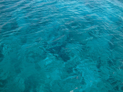 434791 (a): :2400x1800